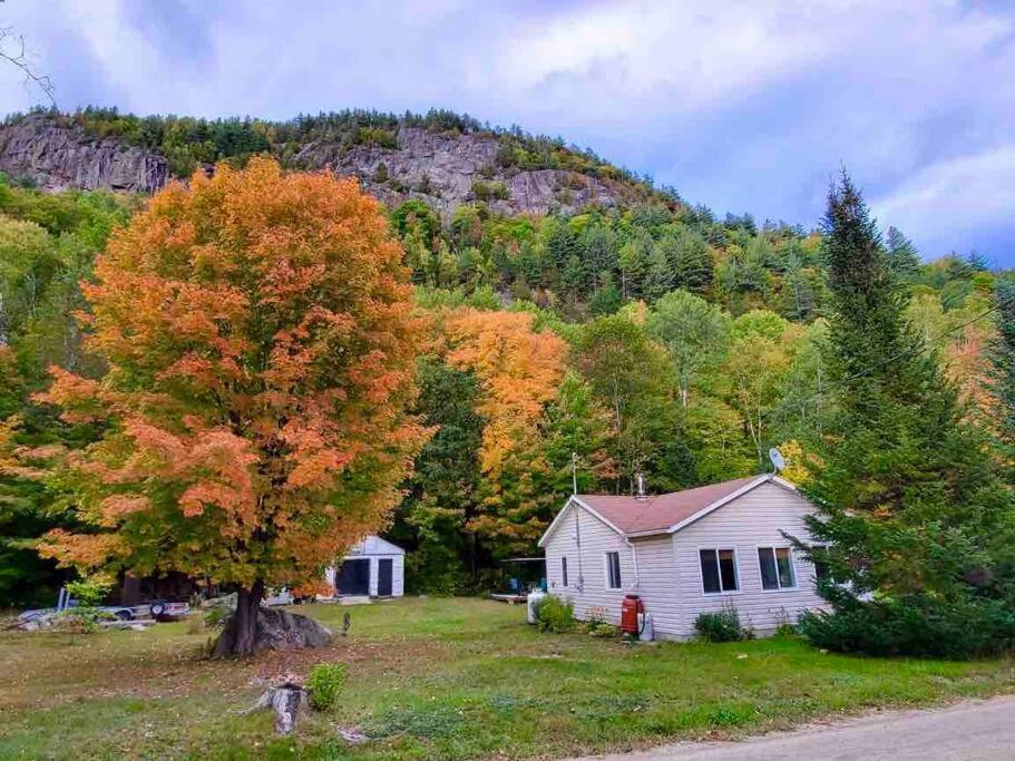 Chalet Falaise By Chalets Nabu Villa Saint-Alexis-des-Monts Exterior photo